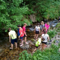 IMG_20190615_155214_HDR